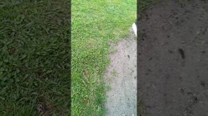 1000018837.mp4
