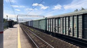 Зелёный Дончак! Электровоз 2ЭС4К-008 с грузовым поездом