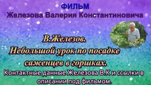 В.Железов. Небольшой урок по посадке саженцев в горшках.