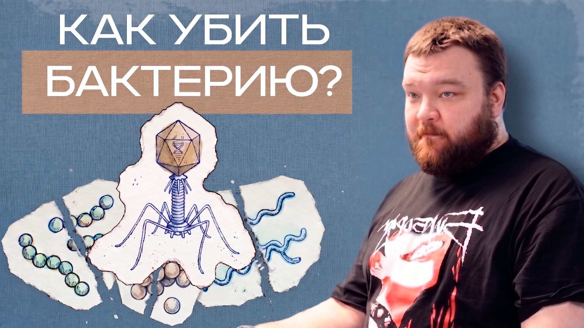 Кириллов Богдан: Рациональный дизайн CRISPR-устойчивой фаговой терапии