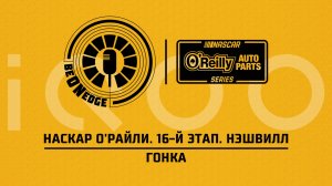31.05.26 | 02:30 | НАСКАР О'Райли. 16-й этап. Нэшвилл. Гонка (Вадим Крымов) Powered by iQOO