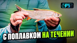 Такого улова я не ожидал! Нежданчик на поплавок!