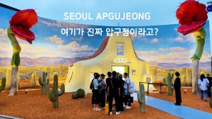 외국인 부자들만 찾아가는 압구정 로드샵! 압구정이 정말 색다른 이유! 서울여행워커.
