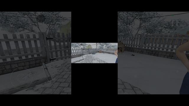 1000006704.mp4