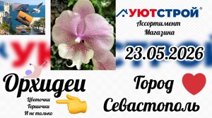 Обзор орхидей в магазине УютСтрой город Севастополь. Орхидей много, сорта🔥Что купила!