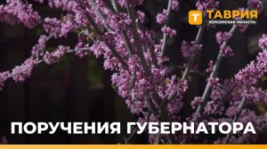 Владимир Сальдо поручил развивать придорожный сервис в Херсонской области