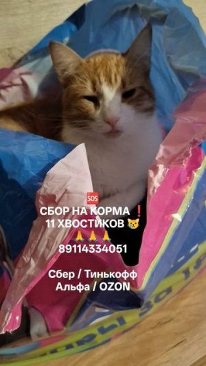 ПОМОЩЬ 🙏