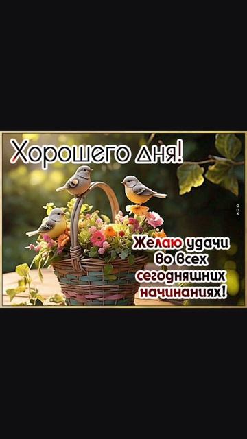 Screenrecorder-2026-05-29-12-11-33-445.mp4 смотреть онлайн