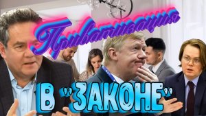 Николай Платошкин о ПОЗОРНОМ ЗАКОНЕ _«Вот вы сами с ними и объединяйтесь...»