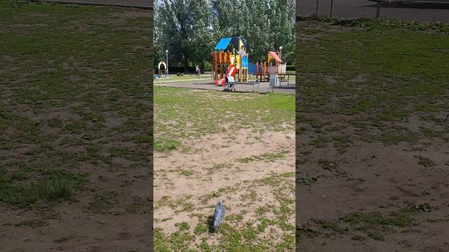 ПРОГУЛКА С ДЕТЬМИ смотреть онлайн