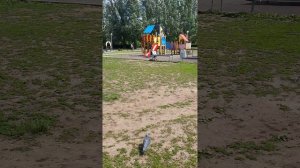 ПРОГУЛКА С ДЕТЬМИ