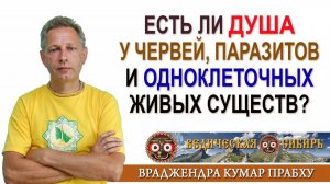 Есть ли Душа у червей, паразитов и одноклеточных живых существ?