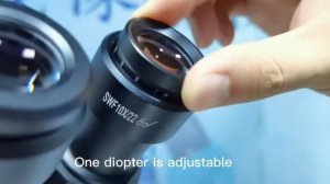 Настройка флуоресцентного микроскопа MF52-N