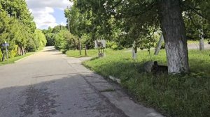 #247.Анапа.Дача не отпускает 3 ночи ночевали.Дожди.Сын купил дом в Краснодарском крае.
