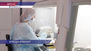 Шесть человек в Нижегородской области заразились болезнью Лайма после укусов клещей
