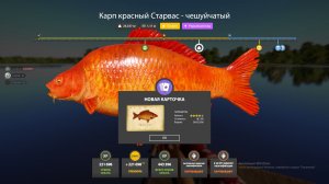 САМЫЕ ИНТЕРЕСНЫЕ РАЗДАЧИ ФАРМА И ТРОФЕЕВ НА 29.05 ОБЗОР КВЕСТОВ В РУССКОЙ РЫБАЛКЕ 4 РР4