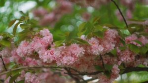 Странная вещь-современная жизнь.