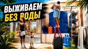 ИСХОД РУССКИХ МУЖИКОВ В ДЖУНГЛИ. БЕЗ ВОДЫ и СВЕТА  Спасаемся Своими Силами  Ищем Горшок для Пальмы