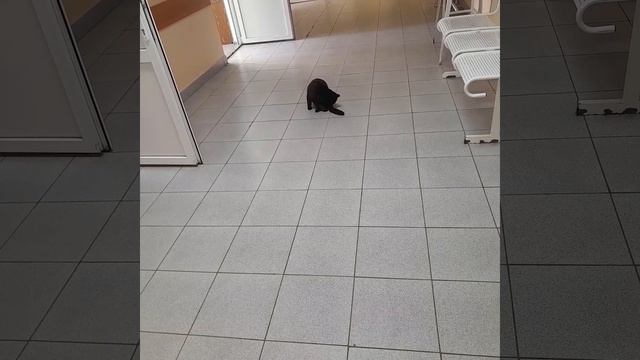 ВСЕ ПРО ВСЕ😻😻😻😻 смотреть онлайн