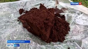 В Бахчисарайском районе началась уборка белоплодной клубники