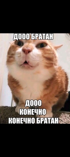 название: