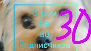 Стрим на 30 подписчиков