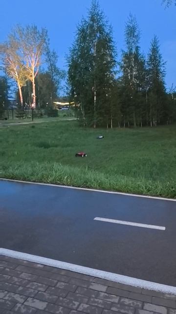 На прогулке