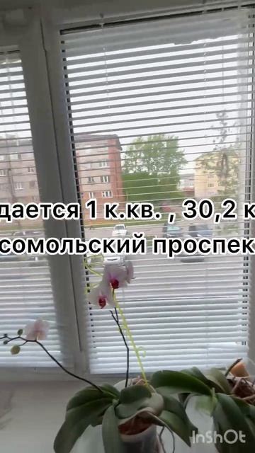 12685373 смотреть онлайн