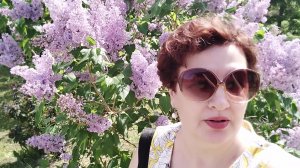 Вишенки/Пора цветения/Закупаемся с пенсии