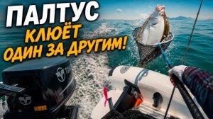 КАК ВЫЖИВАЕТ РУССКОЯЗЫЧНЫЙ МУЖИК В ЮЖНОЙ КОРЕЕ: Первый раз на палтуса! Клёв бешеный! 5 палтусов