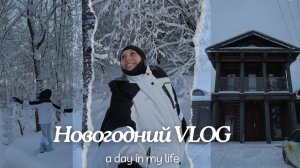 Как мы опоздали на поезд, взяли каршеринг и всё равно отлично встретили 2026-й в Сорочанах 🎄🚗
