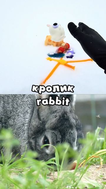 Крутые и забавные игрушки | Животный мир для детей: каракатица, кролик, медуза, слизень  #развивашки