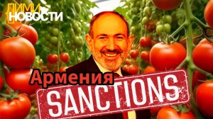 Армения-Россия. Экономический и политический конфликт и кризис в отношениях. Санкции России.