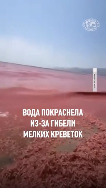 Вода на юго-западе султаната Оман покраснела. Это заметил местный житель Сиях Мухаммед смотреть онлайн