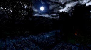 The Witcher 1 - Vizima Dike ｜ Night Ambient Soundtrack (Extended)