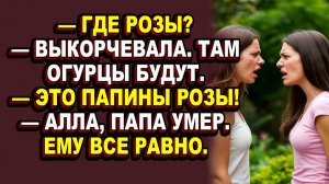 Истории из жизни|Дача раздора: одна хотела картошку и власть, другая — розы и гамак|Аудио рассказы