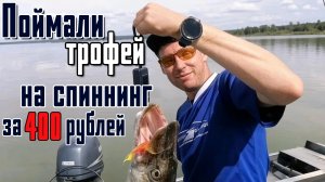 Пока ждём открытия рыбалки с лодки, вспомним как это было год назад!) Дикий жор судака!)