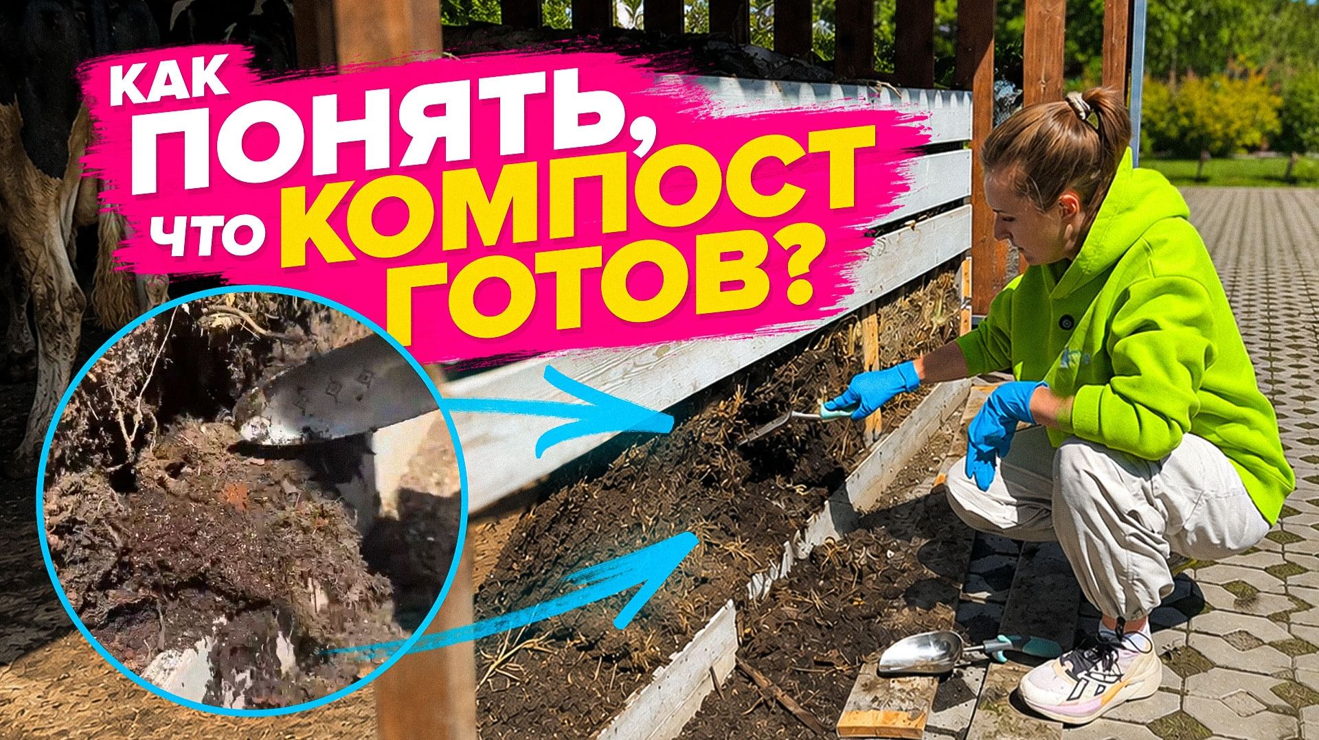 КАК ПОНЯТЬ, СОЗРЕЛ ЛИ КОМПОСТ смотреть онлайн