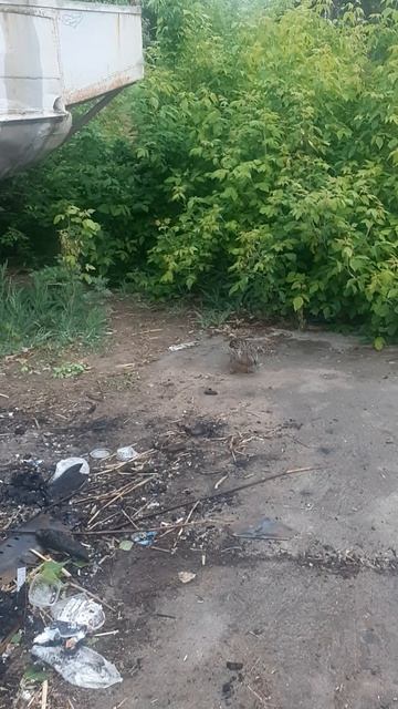 на рыбалке