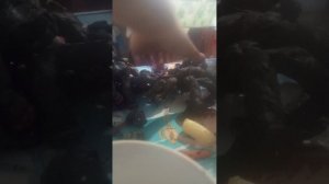 izoleut 2 сезон 12 серия