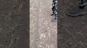 в полях