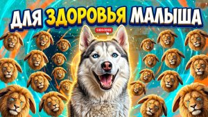 МЫ УНИЧТОЖИЛИ ВСЮ ЧЕРЕМШУ!! Хаски Бандит Говорящая собака