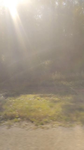 поездка в таймлапсе смотреть онлайн
