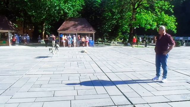 Озеро Рица, Абхазия. Кто не бывал, советую посетить 👍💯