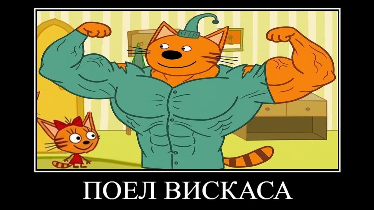 845 СЕКУНД РЖАКИ ТРИ КОТА 😂 ПОПРОБУЙ НЕ ЗАСМЕЯТЬСЯ смотреть онлайн