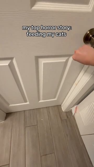 Вот это скорость