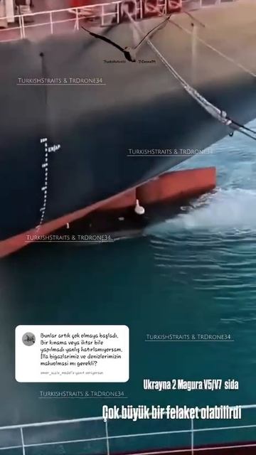 ��� �������� ��������� ��� ����������� ������� � ׸���� ����, ������ �� ������