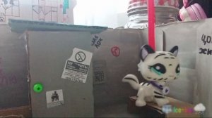 🐾Обзор на мини комнаты для lps 🐾 || 🧊Ice~Lps🌨️ ||