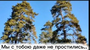 Мы с тобою даже не простились...