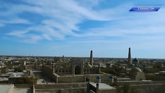 БЕРЕСТОВ ДЛЯ ВЗРОСЛЫХ